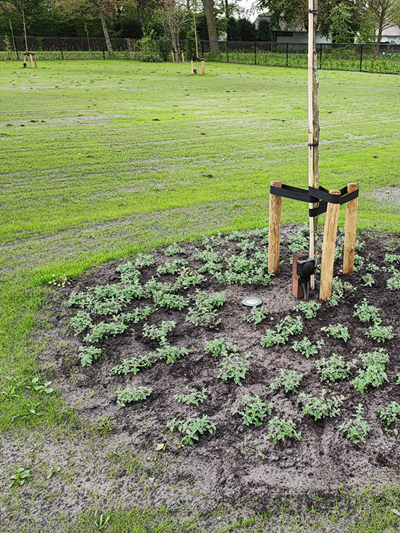 Van Kessel Tuinrenovatie