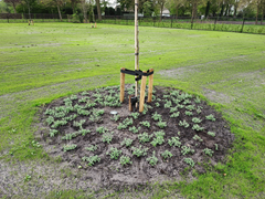 Van Kessel projecten - landeljke tuin